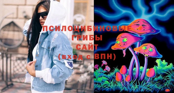 шишки Алзамай