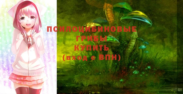 шишки Алзамай