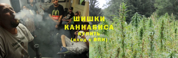 шишки Алзамай