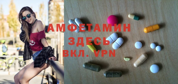 шишки Алзамай