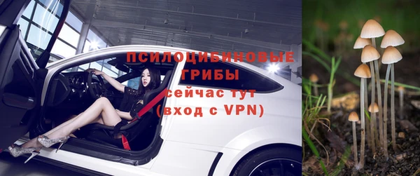 ПСИЛОЦИБИНОВЫЕ ГРИБЫ Алексеевка