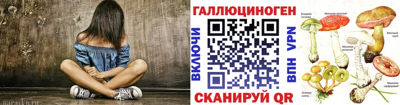 Псилоцибиновые грибы Psilocybine cubensis  Лукоянов 